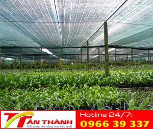 Lưới che giàn, vườn hoa lan