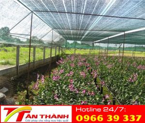 Lưới che giàn, vườn hoa lan
